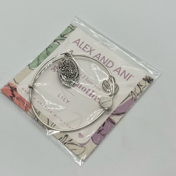 New Alex and Ani Bracelet - Picture 1 of 1